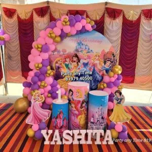 princess theme decorations