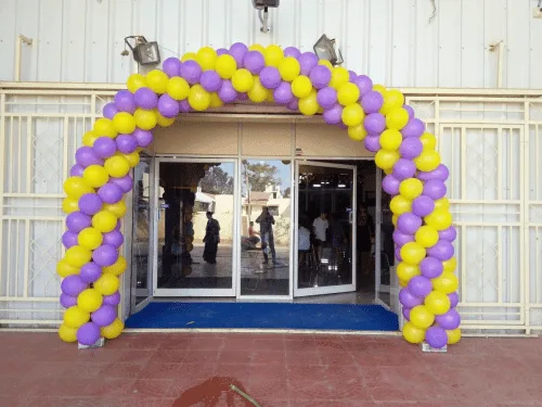 Normal balloon arch - Image 2